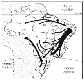 migração6